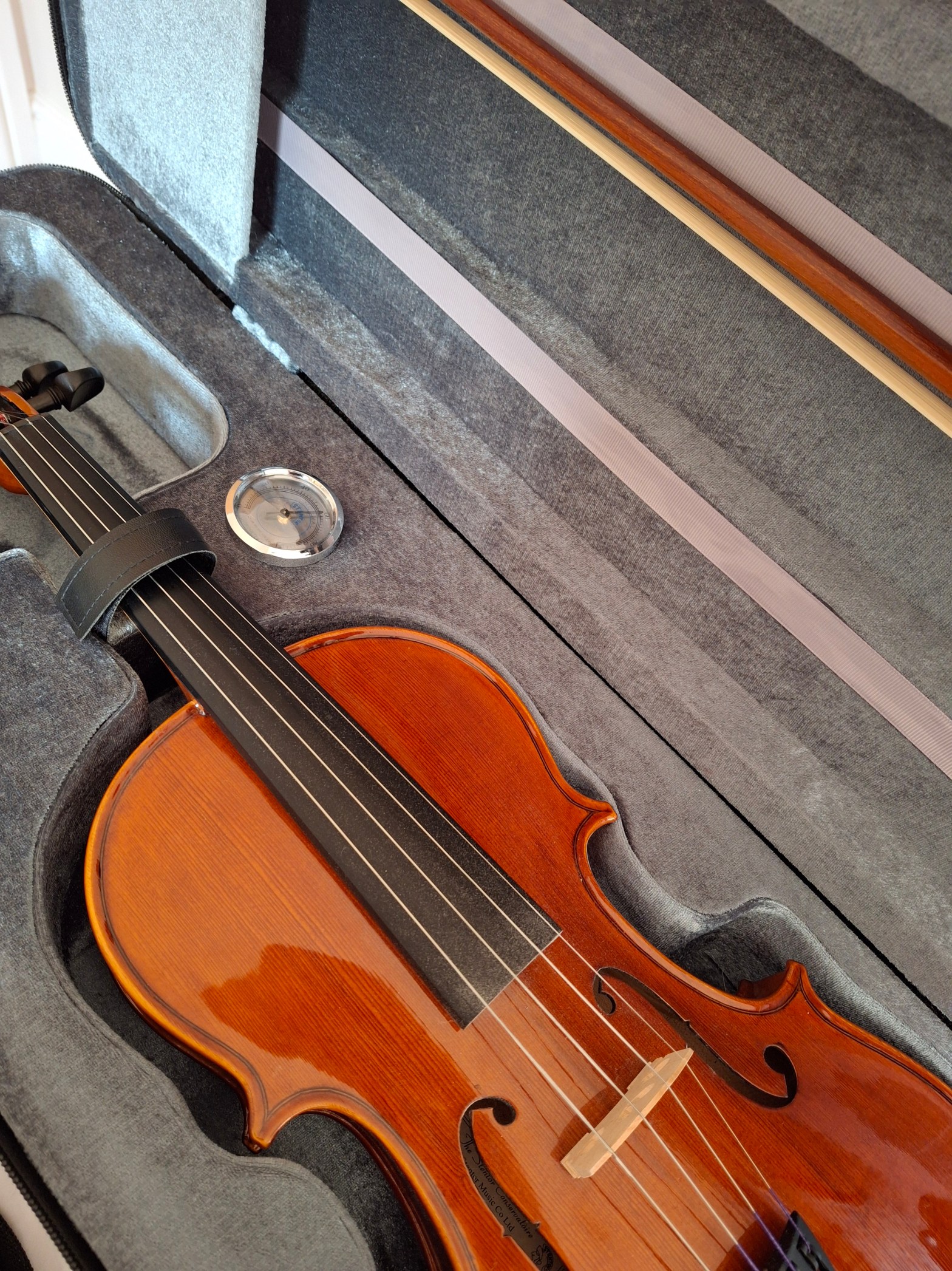 A violin